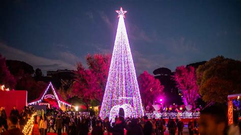 natale di roma wiki